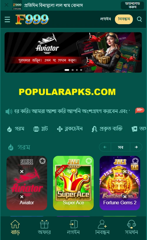 F999 Game Interface screenshot