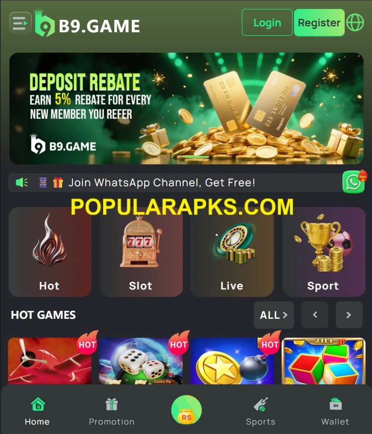 B9 Game Interface screenshot