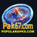 PAK67 GAme Interface