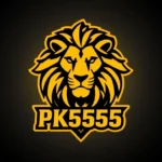 PK555 Game icon