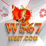 W567 Game Icon