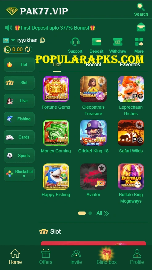 PAk77 Game Interface