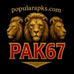 pk67 game logo